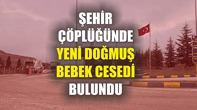 Şehir çöplüğünde yeni doğmuş bebek cesedi bulundu