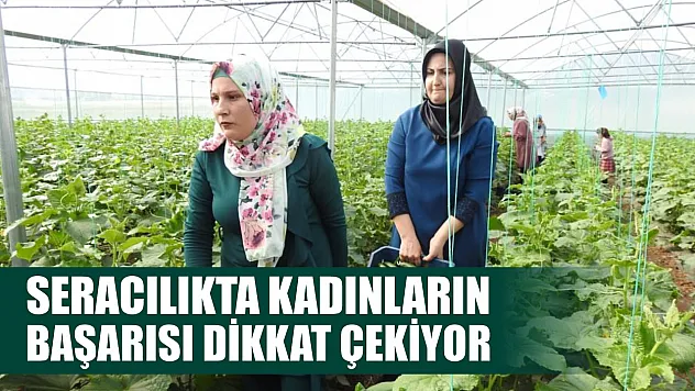 Seracılıkta kadınların başarısı dikkat çekiyor