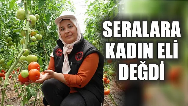 Seralara kadın eli değdi