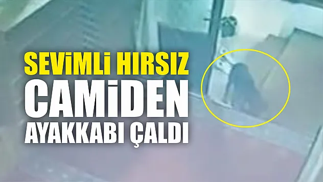 Sevimli hırsız camiden ayakkabı çaldı