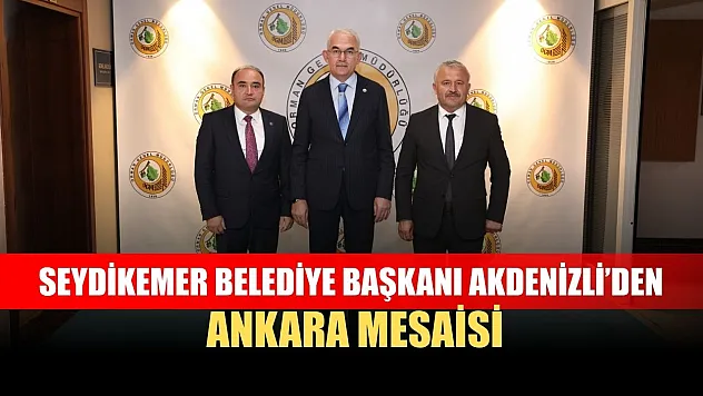 Seydikemer Belediye Başkanı Akdenizli'den Ankara mesaisi