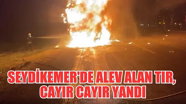 Seydikemer'de alev alan tır, cayır cayır yandı