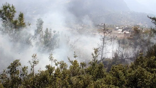 Seydikemer'de anız yangını ormana sıçradı