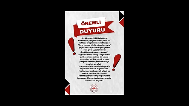 Seydikemer'de araçtan sigara izmariti atan sürücüye ceza