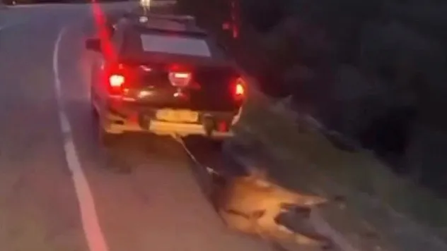 Seydikemer'de eşeği araca bağlayıp sürükleyen 2 kişiye para cezası verildi