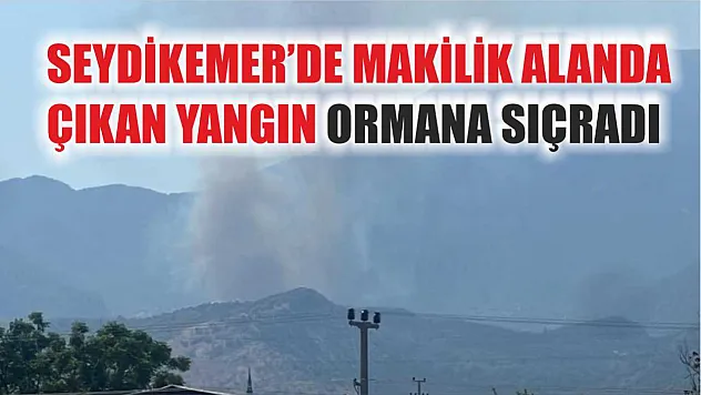 Seydikemer'de Makilik Alanda Çıkan Yangın Ormana Sıçradı