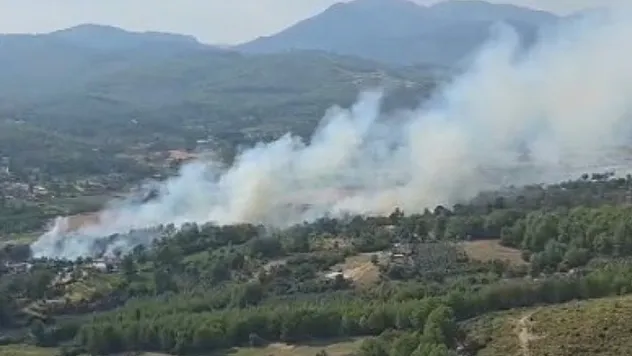 Seydikemer'de Orman Yangını: Havadan ve Karadan Müdahale Ediliyor