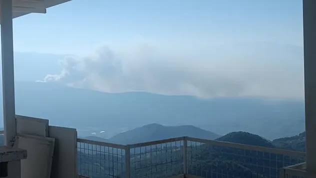 Seydikemer'de orman yangını
