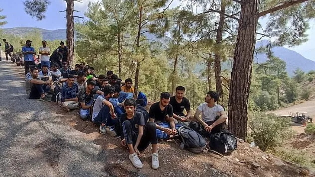 SEYDİKEMER'DE ORMANLIK ALANDA 89 DÜZENSİZ GÖÇMEN YAKALANDI