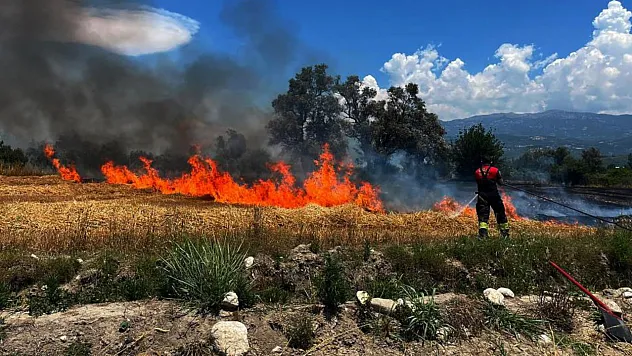 Seydikemer'de samanlık ot ve zeytin ağaçları yandı