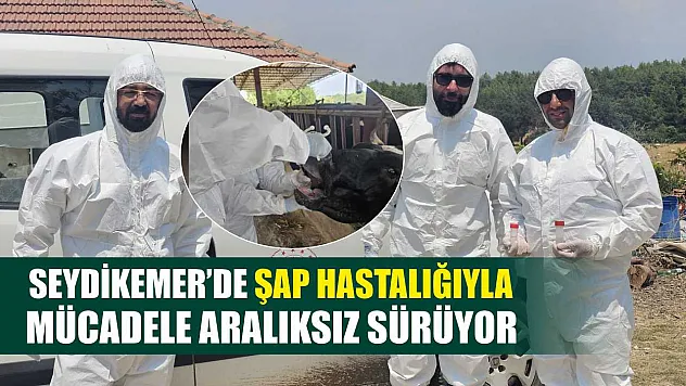 Seydikemer'de Şap Hastalığıyla Mücadele Aralıksız Sürüyor