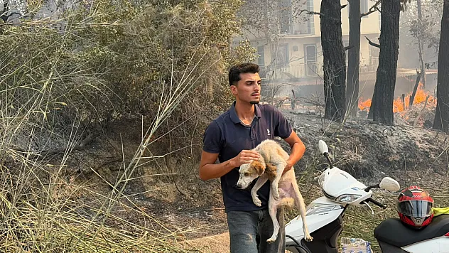 Seydikemer'de tahliyeler sürüyor: Dereköy'de evler ve hayvanlar güvenli alanlara taşınıyor