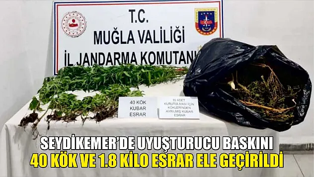 Seydikemer'de Uyuşturucu Baskını, 40 Kök ve 1.8 Kilo Esrar Ele Geçirildi