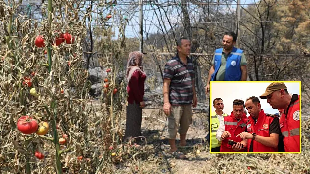 Seydikemer'de yangın sonrası Muğla Büyükşehir ekiplerinden seferberlik