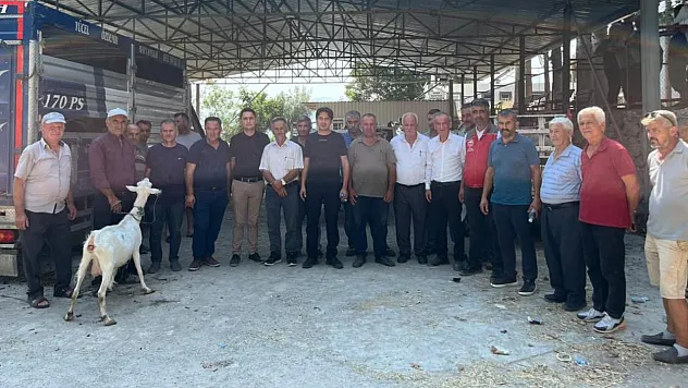 Seydikemer'de yangında hayvanlarını kaybeden çiftçilere küçükbaş hayvan desteği