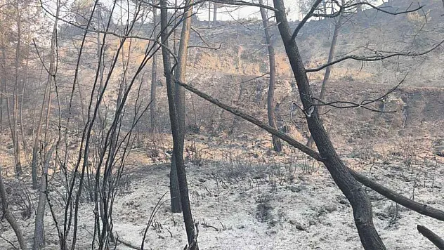 Seydikemer'de Yangının İlerleyişi Büyük Ölçüde Kontrol Altına Alındı