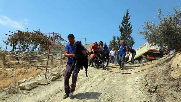 Seydikemer'de yaralar hızla sarılıyor