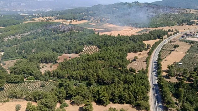 Seydikemer'deki orman yangını kontrol altına alındı