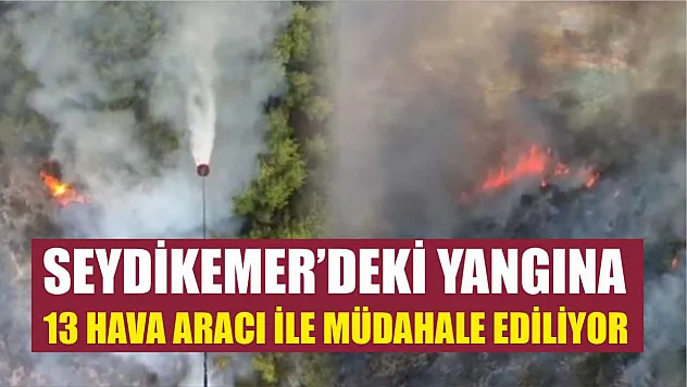 Seydikemer'deki yangına 13 hava aracı ile müdahale ediliyor