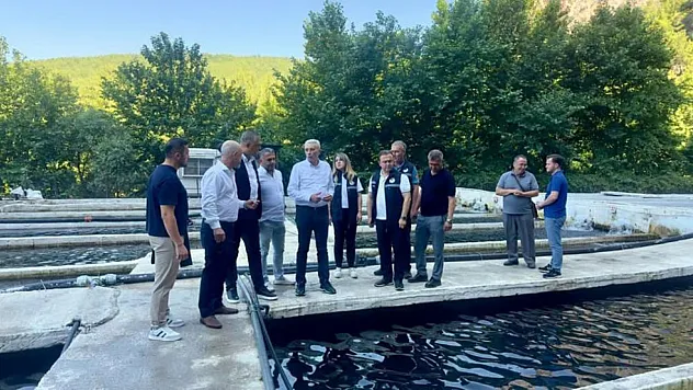 Seydikemer Eşen Havzası'ndaki Alabalık tesislerinde sektör değerlendirmesi