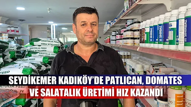 Seydikemer Kadıköy'de Patlıcan, Domates ve Salatalık Üretimi Hız Kazandı