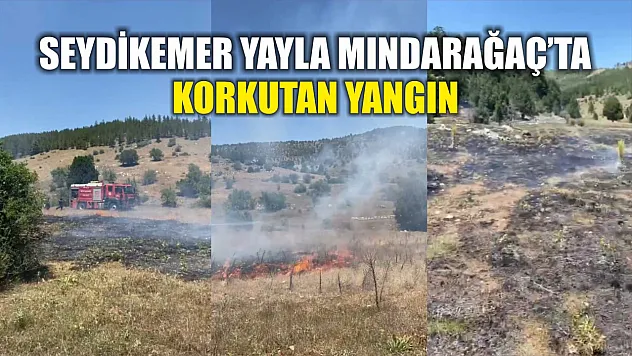 Seydikemer Yayla Mındarağaç'ta korkutan yangın