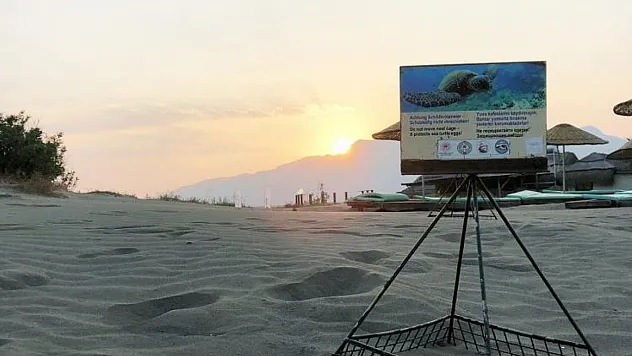 Sezonun ilk Caretta yuvası koruma altına alındı