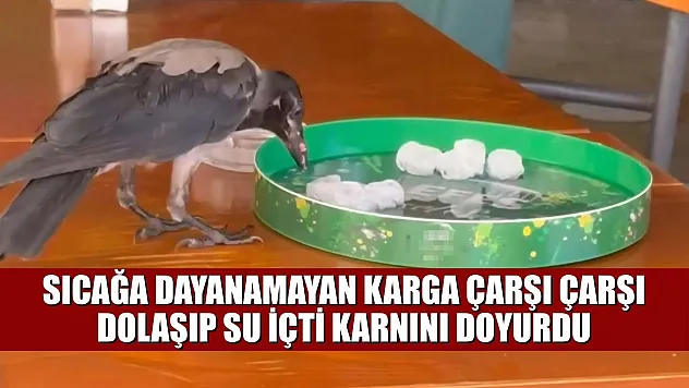 Sıcağa dayanamayan karga çarşı çarşı dolaşıp su içti, karnını doyurdu