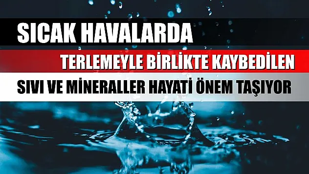 Sıcak havalarda terlemeyle birlikte kaybedilen sıvı ve mineraller hayati önem taşıyor