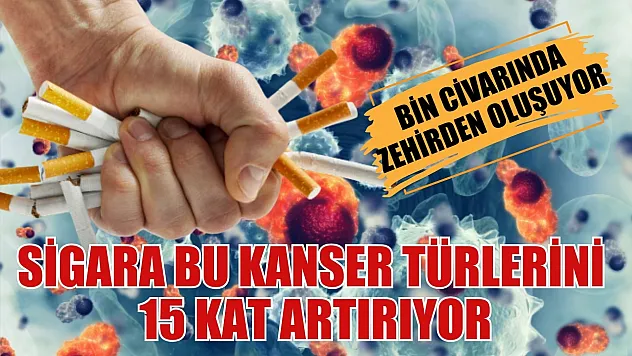 Sigara bu kanser türlerini 15 kat artırıyor