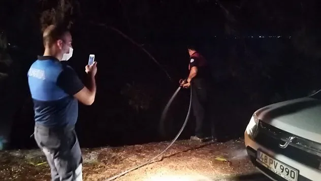 SİGARA İZMARİTİ ORMAN YAKTI