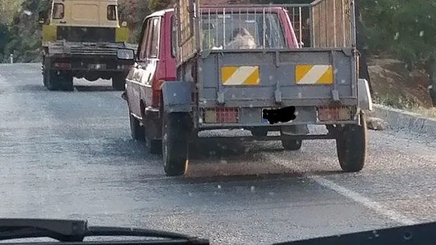 Sinyalsiz Olanları Trafikte Tehlike Saçıyor