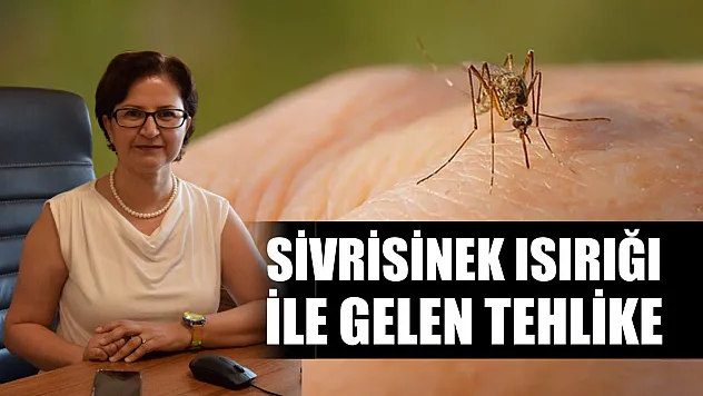 Sivrisinek ısırığı ile gelen tehlike