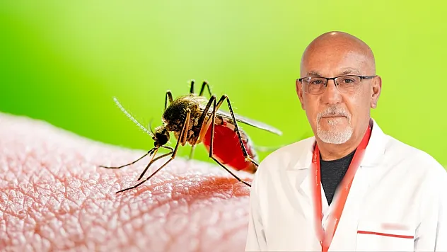 Sivrisinek kaynaklı chikungunya virüsüne karşı uyarı