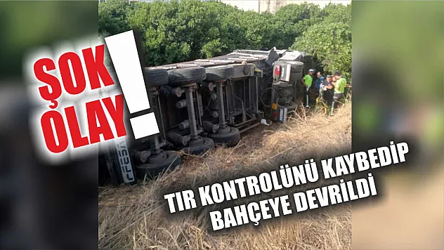 Şok Olay! Tır Kontrolünü Kaybedip Bahçeye Devrildi