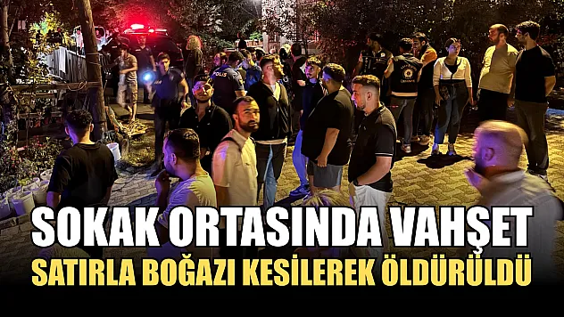 Sokak ortasında vahşet: Satırla boğazı kesilerek öldürüldü