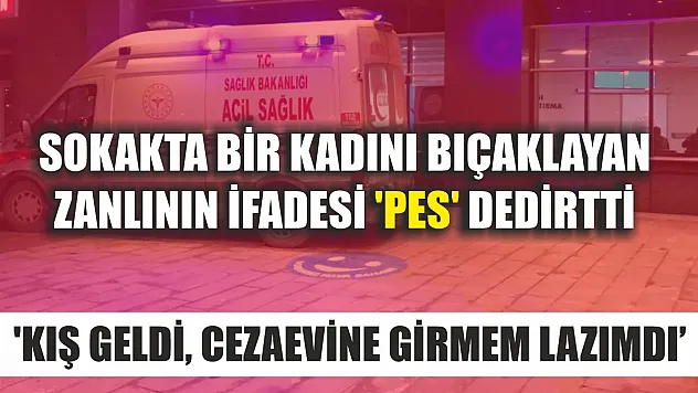 Sokakta bir kadını bıçaklayan zanlının ifadesi 'pes' dedirtti: 'Kış geldi, cezaevine girmem lazımdı