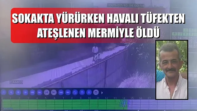 Sokakta yürürken havalı tüfekten ateşlenen mermiyle öldü