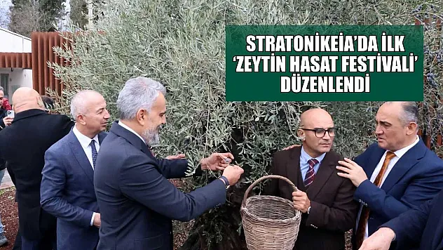 Stratonikeia'da ilk 'Zeytin Hasat Festivali' düzenlendi