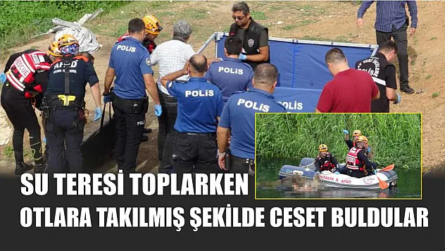 Su teresi toplarken, otlara takılmış şekilde ceset buldular
