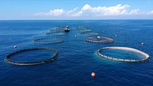 Su ürünleri ihracatından 1,7 milyar dolar gelir elde edildi