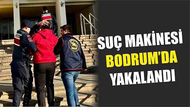 Suç makinesi Bodrum'da yakalandı