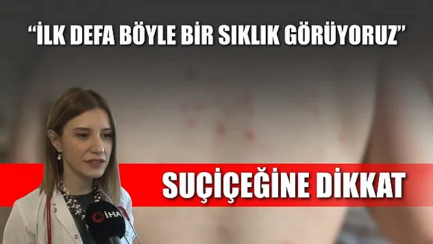 Suçiçeğine dikkat : 'İlk defa böyle bir sıklık görüyoruz'