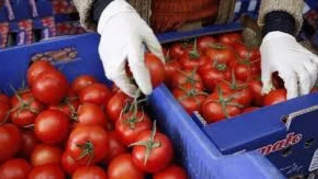 Süleyman Girgin Tarım Bakanına Sordu