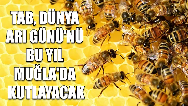 TAB, Dünya Arı Günü'nü bu yıl Muğla'da kutlayacak