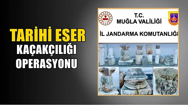 Tarihi eser kaçakçılığı operasyonu