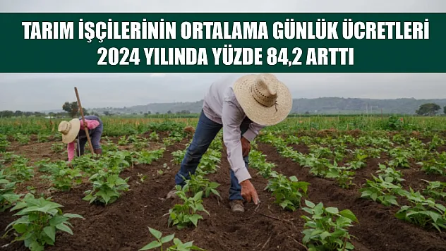 Tarım işçilerinin ortalama günlük ücretleri 2024 yılında yüzde 84,2 arttı