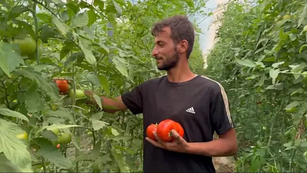 Tarım işçiliğinden patronluğa