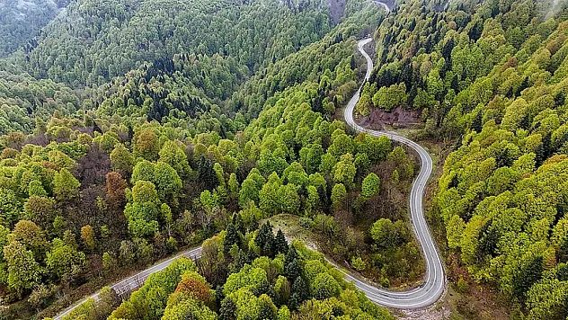 Tarım ve Orman Bakanı Yumaklı'dan orman yangınlarına karşı uyarı