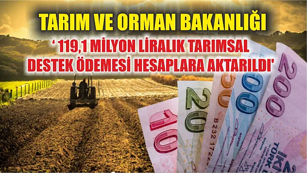 Tarım ve Orman Bakanlığı: ' 119,1 milyon liralık tarımsal destek ödemesi hesaplara aktarıldı'